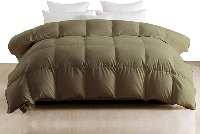 Queen Bed Ultra Soft Pure 100% Egyptian Cotton 300 GSM Comforter 300 TC