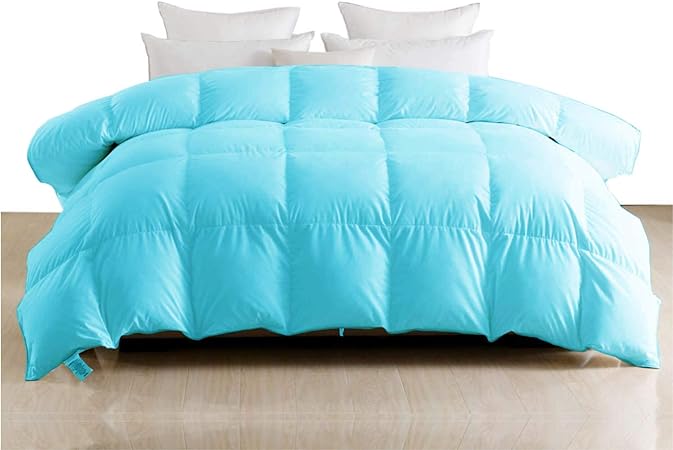 Queen Bed Ultra Soft Pure 100% Egyptian Cotton 300 GSM Comforter 300 TC